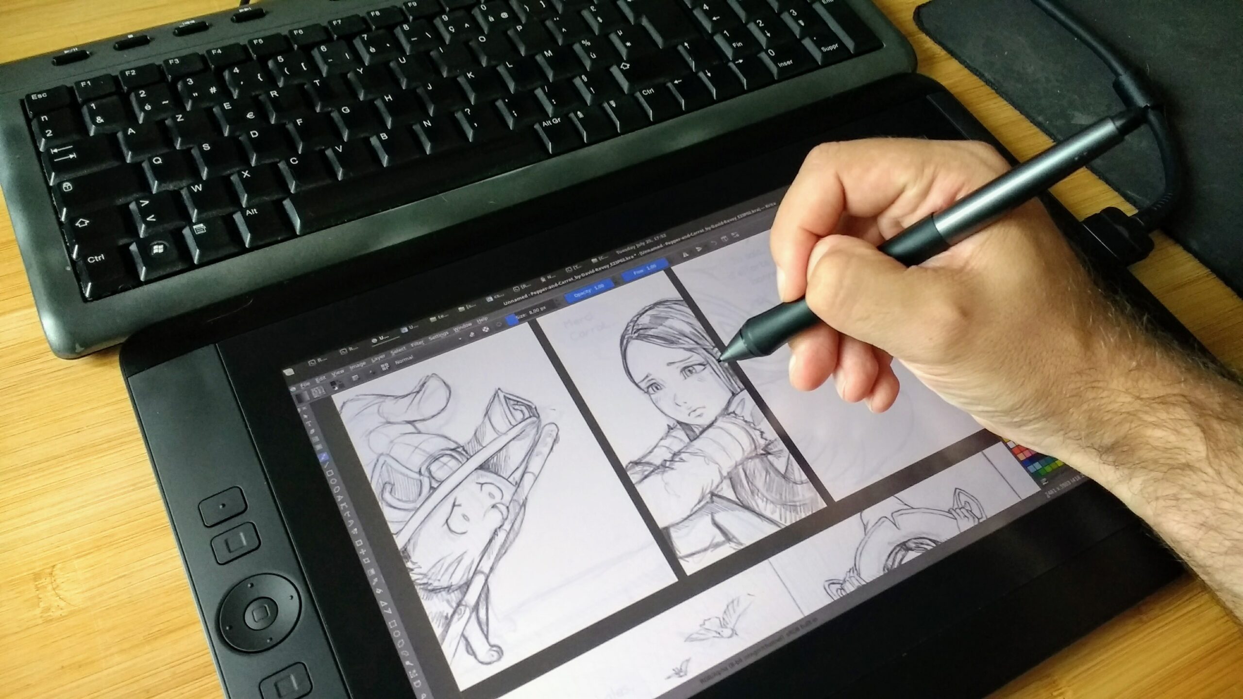 David Revoyが液晶ペンタブレットで『Pepper&Carrot』を下描きする様子